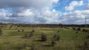 Open Aspect - click for photo gallery